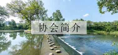 協會簡介